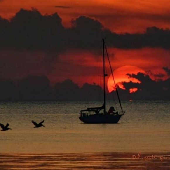 Meet your Posher, Jr - Picture 1 of 1